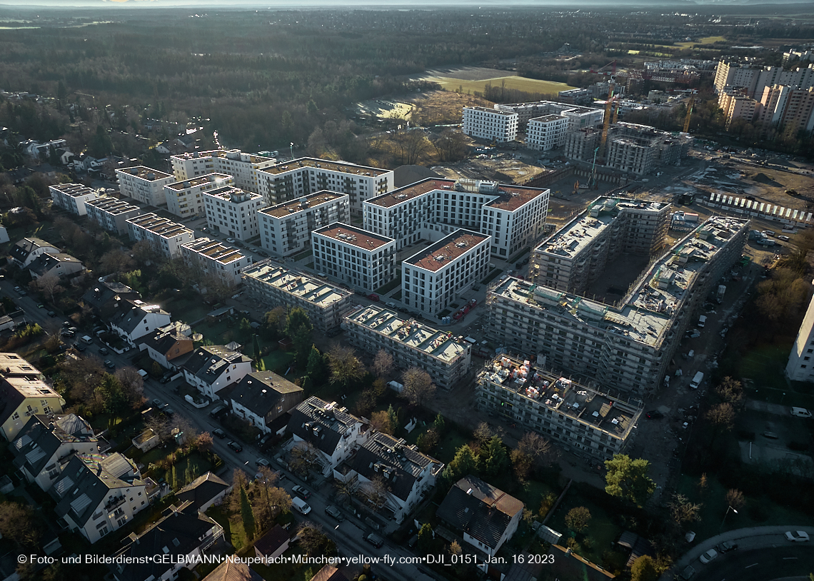 16.01.2023 - Alexisquartier und Pandion Verde